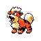 Growlithe