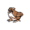 Pidgey