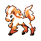 Ponyta