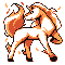 Rapidash