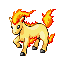 Ponyta