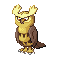 Noctowl