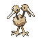 Doduo