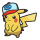 Unova Cap