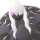 Darkrai Sprite