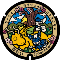 Fukui - Ohira PokéLid
