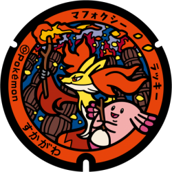 Fukushima - Sukagawa Pok&eacute;Lid