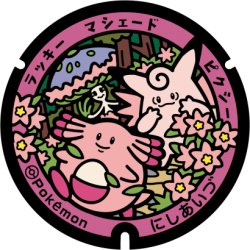 Fukushima - Nishiaizu Pok&eacute;Lid