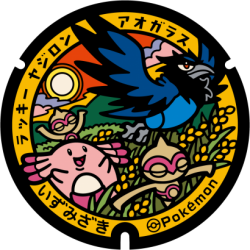 Fukushima - Izumizaki Pok&eacute;Lid