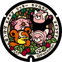 Fukushima - Okuma Pok&eacute;Lid