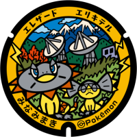 Nagano - Minamimaki PokéLid