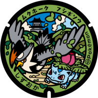 Shizuoka - Shizuoka PokéLid