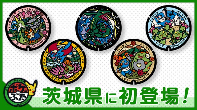 Pok Lids