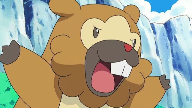 Pokémon - Bidoof Campaign