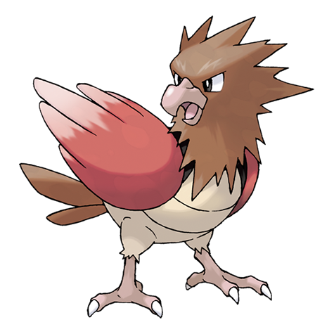 Spearow Artwork