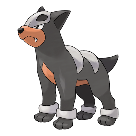 Houndour Artwork