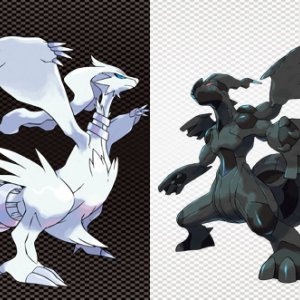 Pokémon Black & White