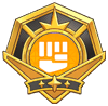 Gold Fighting Move Badge
