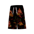 Long Pok&eacute;mon Shorts Emboar