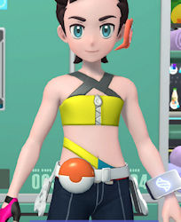 Canari's Crop Top