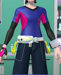 Canari's Satchel