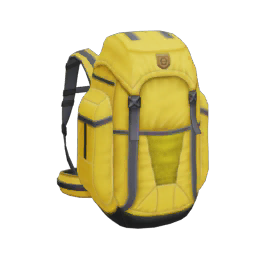 Backpacker Pack