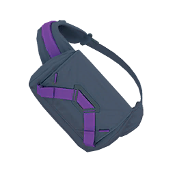 Trainer Bag