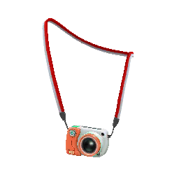 GO Snapshot Camera