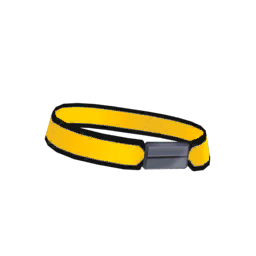 Flat Buckle