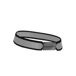 Flat Buckle