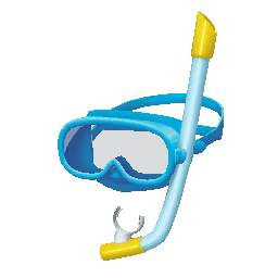 2024 Worlds Champion Goggles