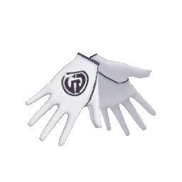 Isle of Armor Gloves