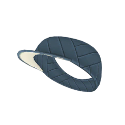 Trainer Visor