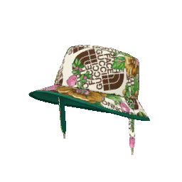 The North Face x Gucci Hat