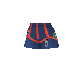 Dragon-Type Sport Shorts (Cropped) Dragon-Type Sport Shorts (Cropped)
