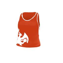 Charizard Tank Charizard Tank