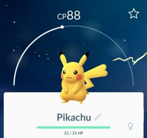 Bug] Not sure if posted, if you switch genders/shiny forms a bunch on an  alolan Pokémon where the normal form isn't visible, you can see the NEXT  Pokémon's shiny. : r/TheSilphRoad