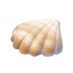 Tropical Shell