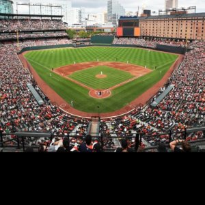 Baltimore Orioles