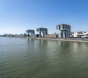 Carnival Flamigo Cologne