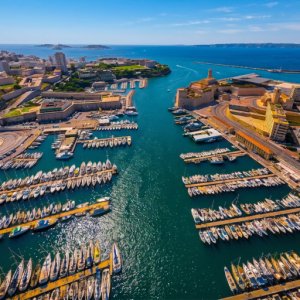 City Safari - Marseille
