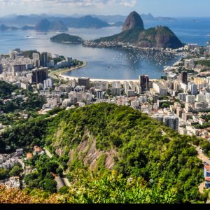 City Safari - Rio de Janeiro
