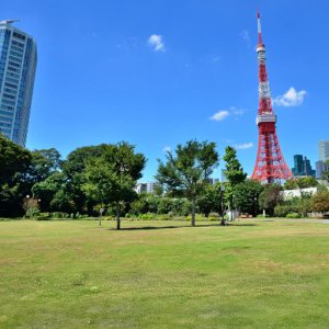 GO Fest Tokyo Minato