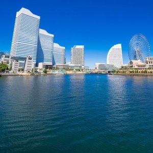 Pokelid Kanagawa Pokelid Kanagawa