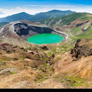 Pokelid Miyagi Pokelid Miyagi