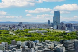 Pokelid Osaka Pokelid Osaka