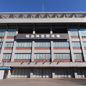 Tokyo Swallows