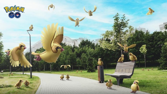 Pidgey Pandemonium