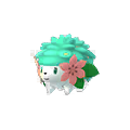 Shaymin