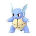 Wartortle